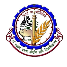 Raj