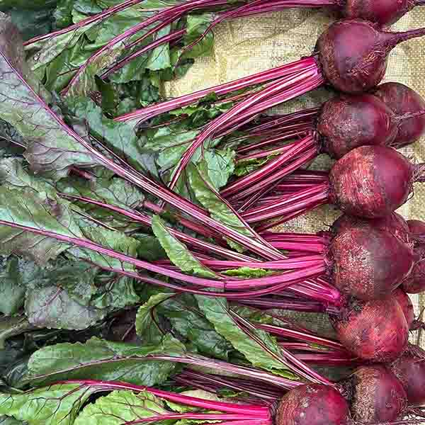 BEETROOT